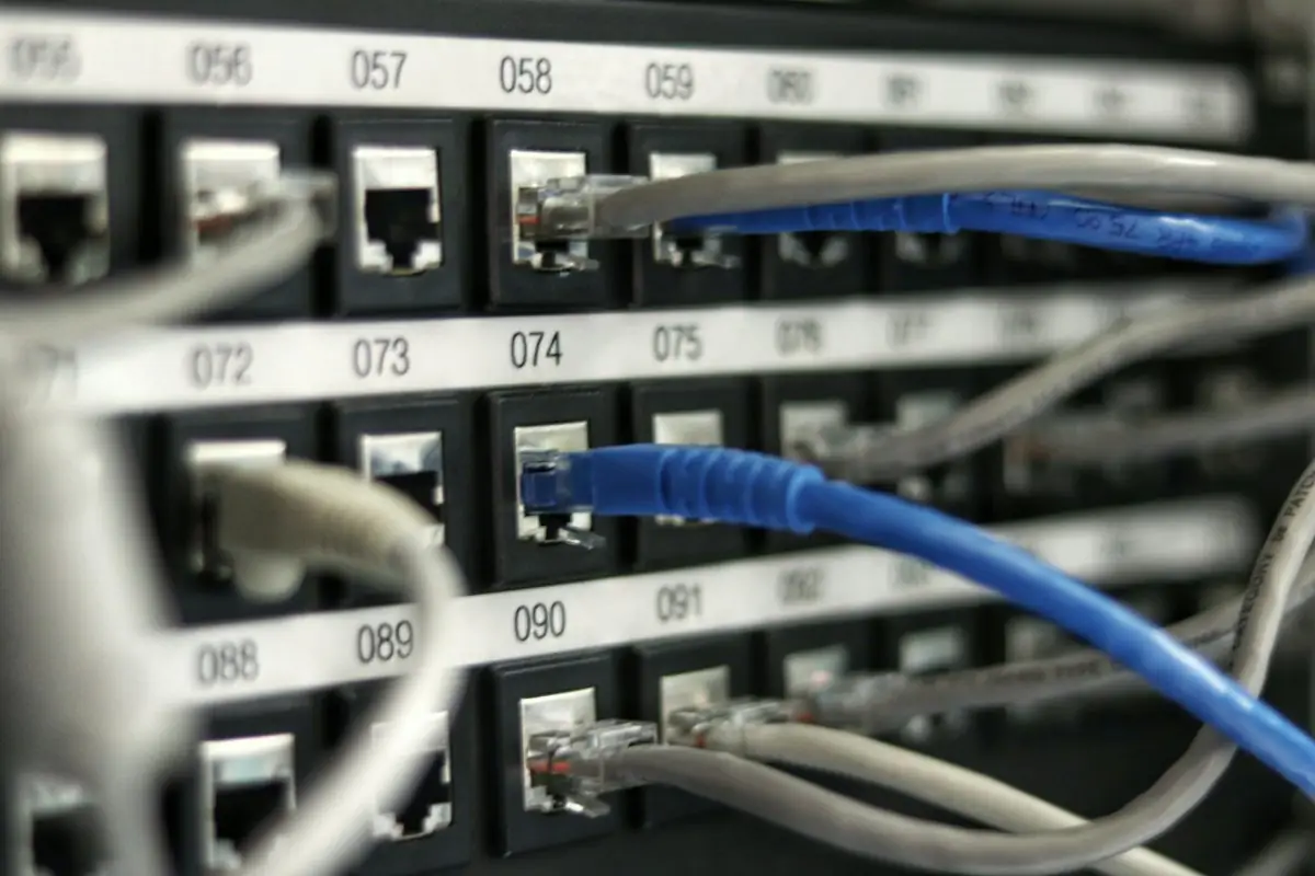 Ethernet cables connected to networking equipment